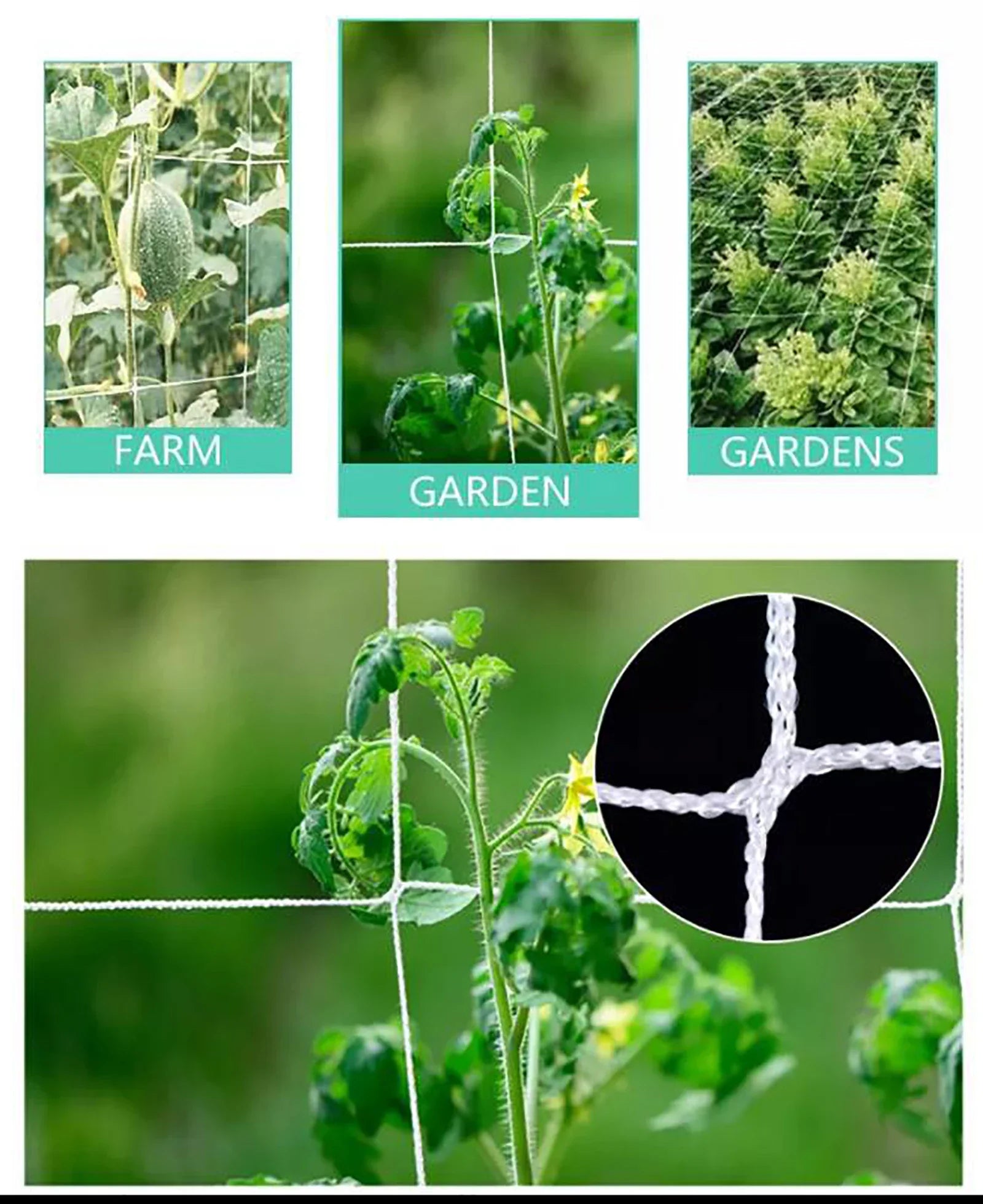 Heavy-Duty White Plant Trellis Netting – Multi-Use Polyester Support for Climbing Vines & Hydroponic Gardening - Image 5