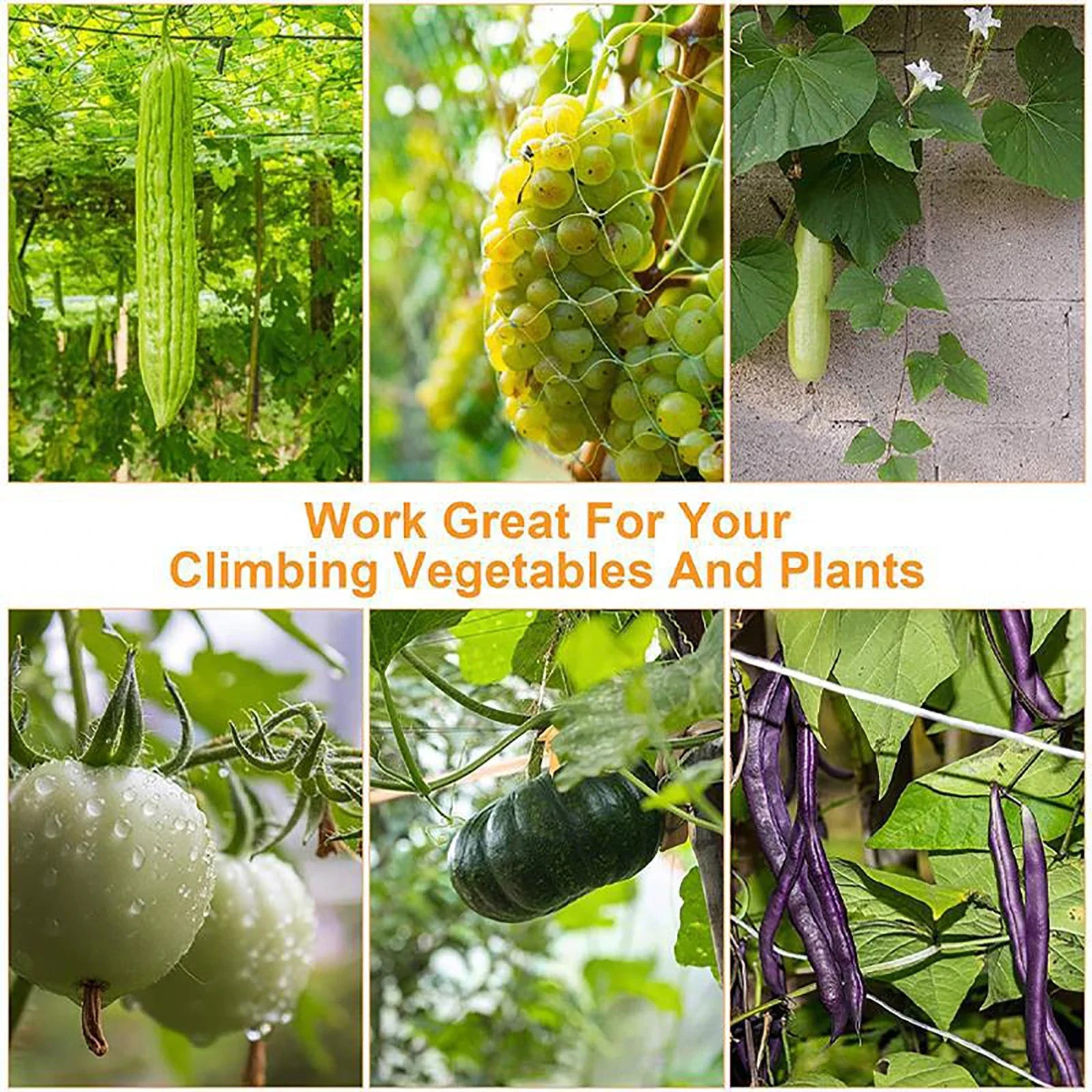 Heavy-Duty White Plant Trellis Netting – Multi-Use Polyester Support for Climbing Vines & Hydroponic Gardening - Image 3