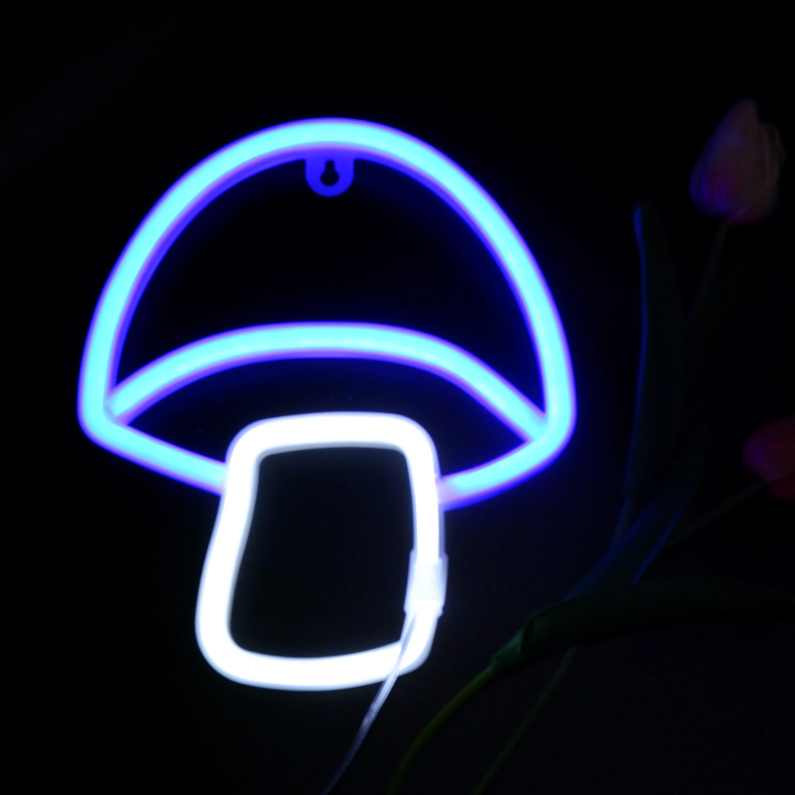 LED Neon Sign - Image 12